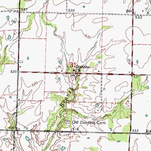 Topographic Map of Donoho Prairie Cemetery, IL