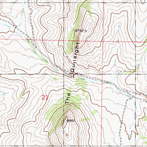 Topographic Map of The Gunsight, CO