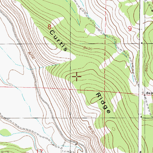 Topographic Map of Curtis Ridge, CO