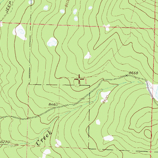 Topographic Map of Freeman Picnic Ground, CO