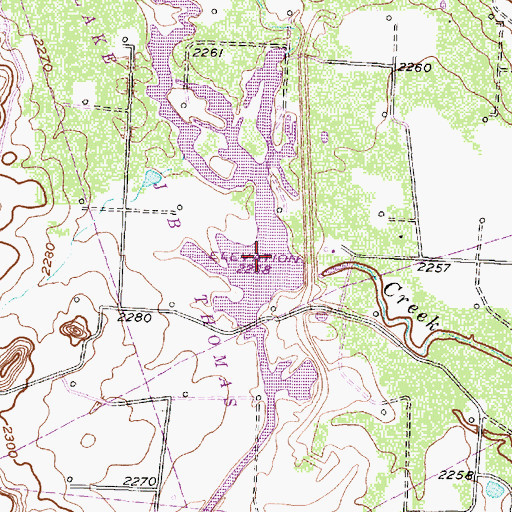 Topographic Map of Divesion Lake, TX