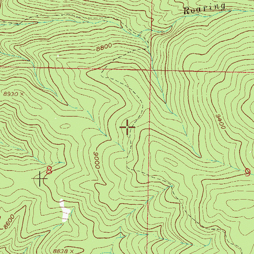 Topographic Map of Roaring Fork Trail, CO
