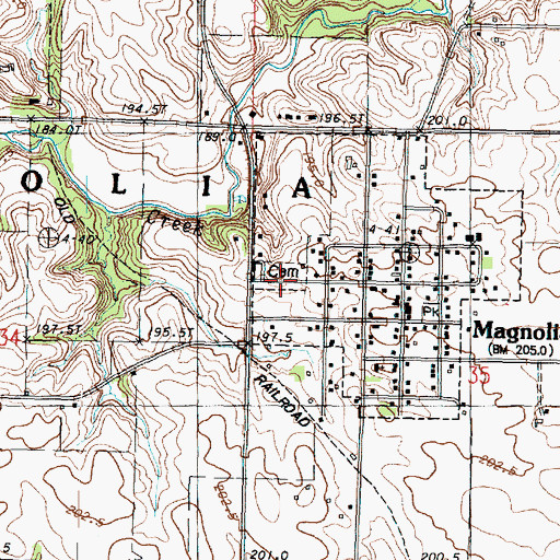 Topographic Map of Magnolia Cemetery, IL