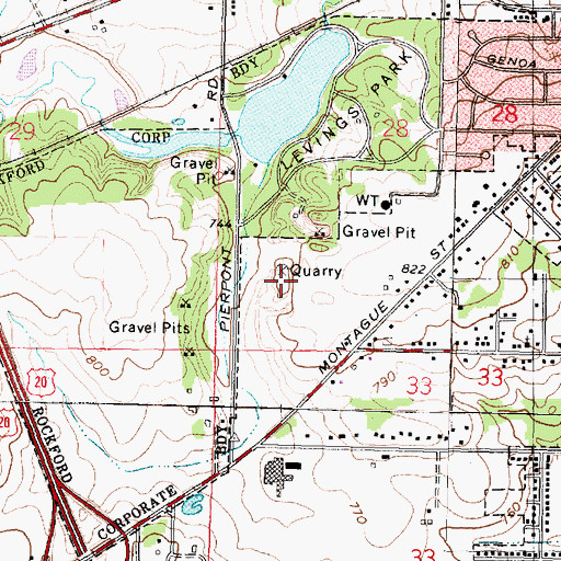 Topographic Map of Levings Quarry, IL