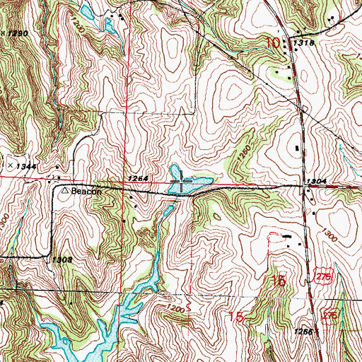 Topographic Map of Tree Lake, IA