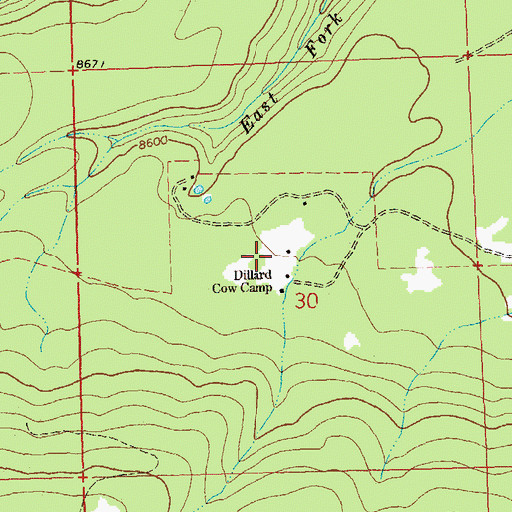 Topographic Map of Dillard Cow Camp, CO