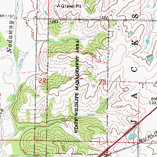 Topographic Map of Adair Wildlife Management Area, IA