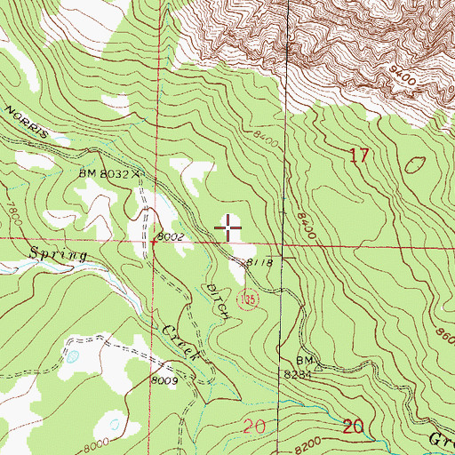 Topographic Map of Snowshoe Cow Camp, CO