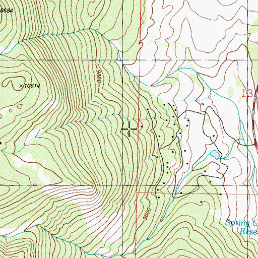 Topographic Map of Ptarmigan Meadows, CO