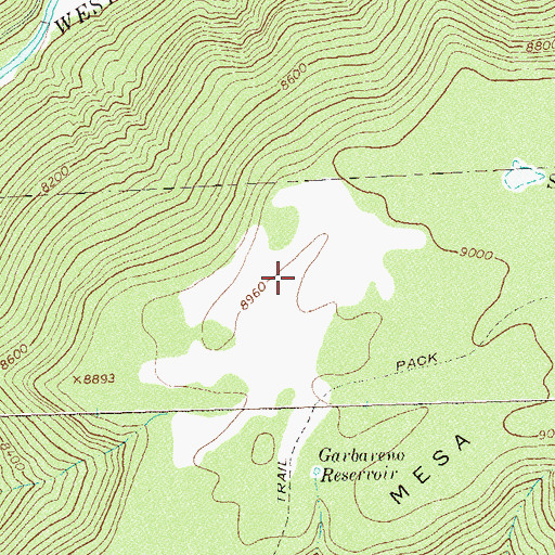 Topographic Map of Michele Reservoir, CO