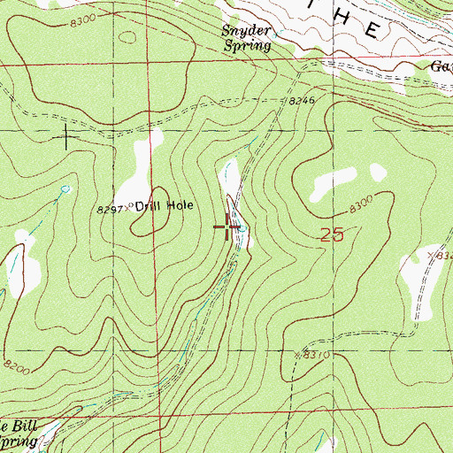 Topographic Map of Wild Bill Number Nine Reservoir, CO