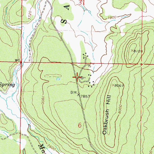 Topographic Map of Piedra Forest Service Facility, CO