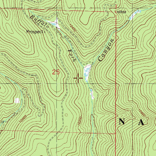 Topographic Map of Buffalo Fork, CO