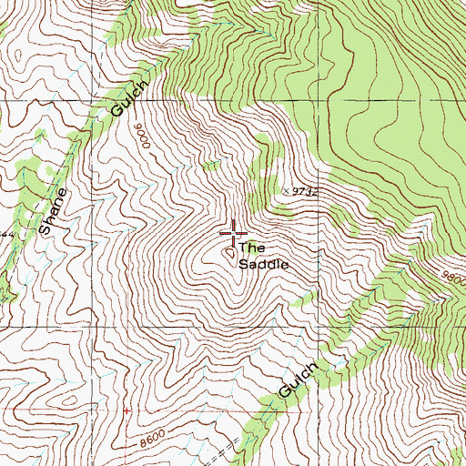 Topographic Map of The Saddle, CO