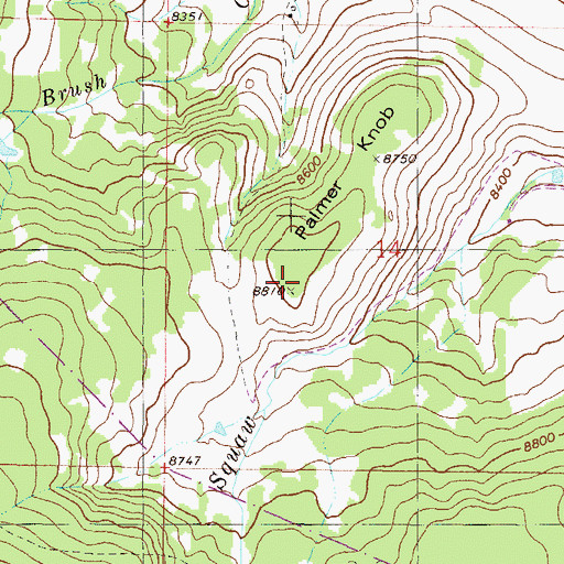 Topographic Map of Palmer Knob, CO