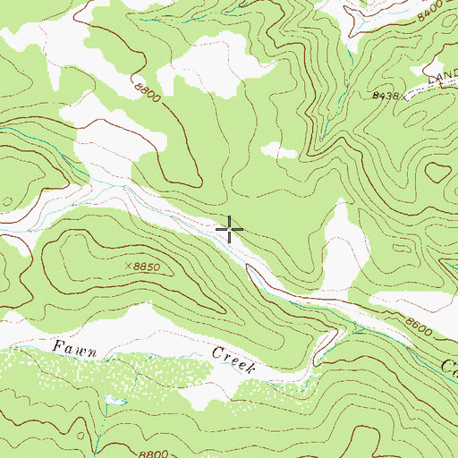 Topographic Map of Twin Spruce Ditch, CO
