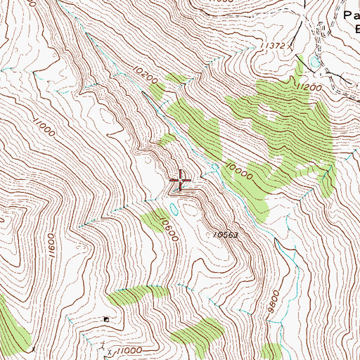 Topographic Map of Peeler Lakes, CO