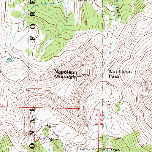 Topographic Map of Napoleon Mountain, CO