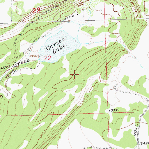 Topographic Map of Carson Lake Trail, CO