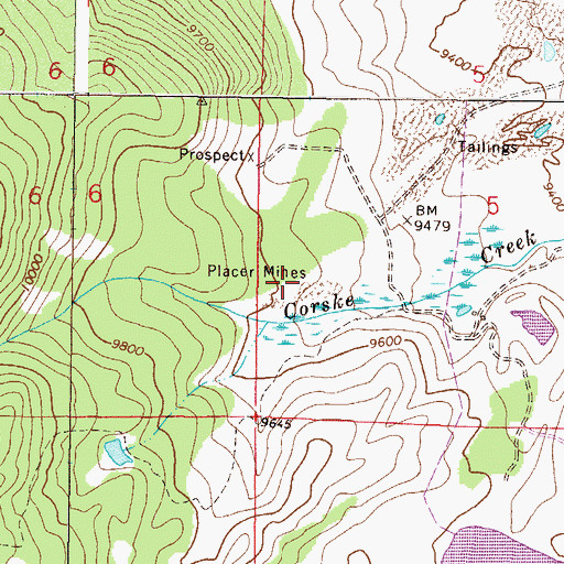 Topographic Map of Placer Mines, CO