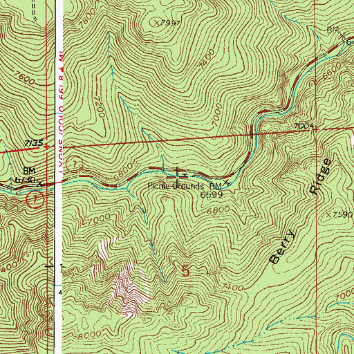 Topographic Map of South Saint Vrain Picnic Ground, CO