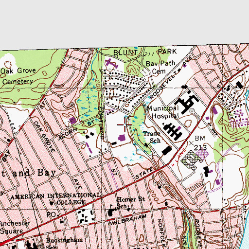 Topographic Map of Butova Memorial Gymnasium, MA