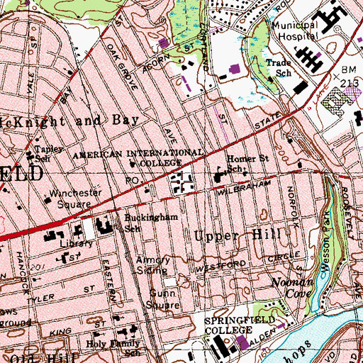 Topographic Map of Springfield Institution for Savings Shopping Mall, MA