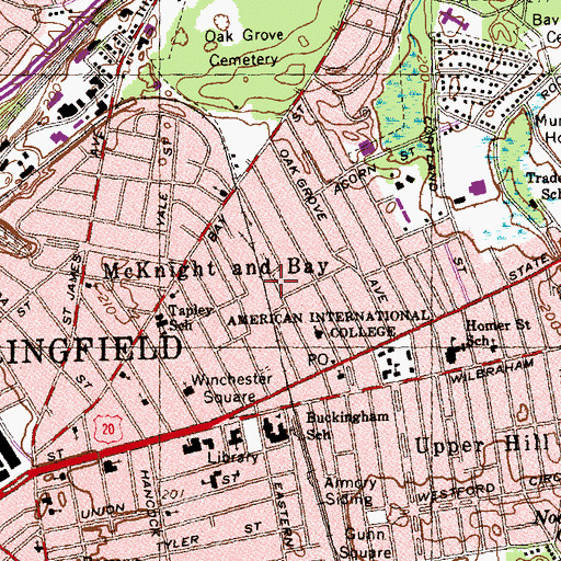 Topographic Map of True Vine Church, MA