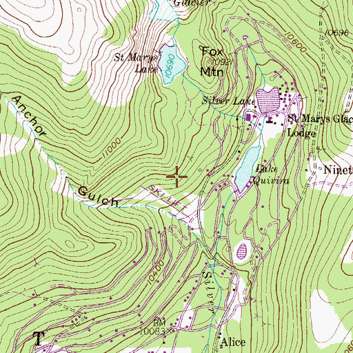 Topographic Map of Silver Lake Ski Area, CO