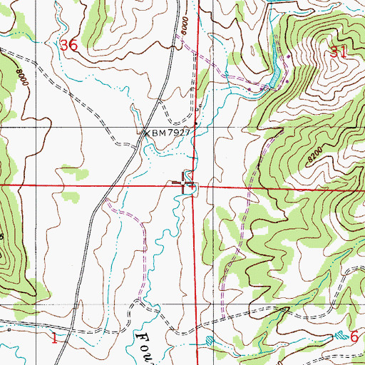 Topographic Map of Bearing Tree, CO