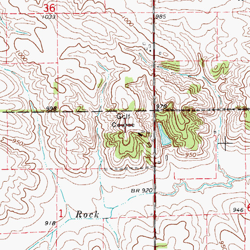 Topographic Map of Dysart Country Club, IA