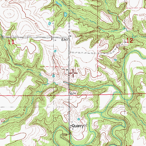 Topographic Map of Cruser Mine, IL