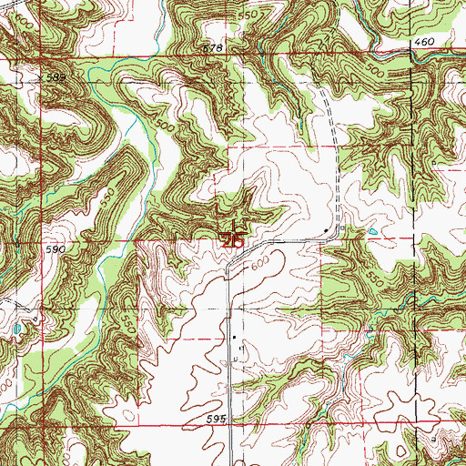 Topographic Map of Rang Mine, IL