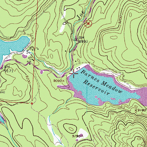 Topographic Map of Barnes Meadow Dam, CO
