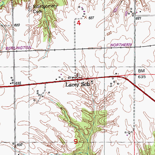 Topographic Map of Danner Cemetery, IL