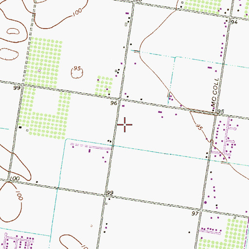Topographic Map of B L Garza Middle School, TX