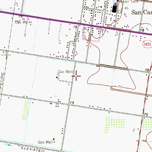 Topographic Map of San Carlos Elementary School, TX