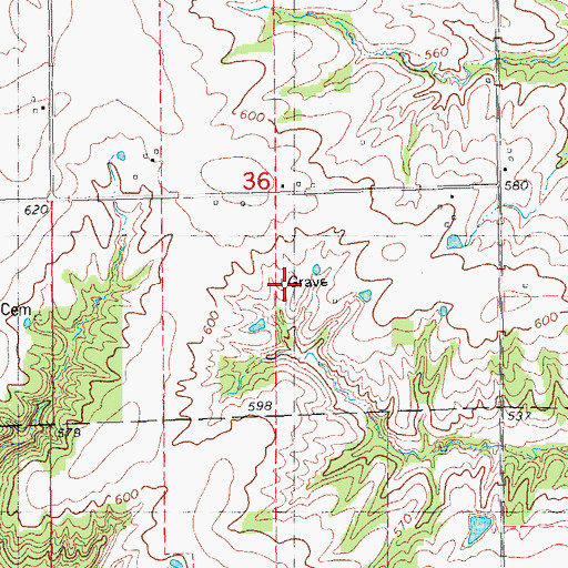 Topographic Map of Joey Eaton Grave, IL