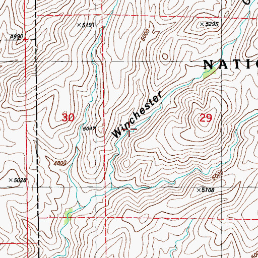 Topographic Map of Lower Winchester Spring, NM