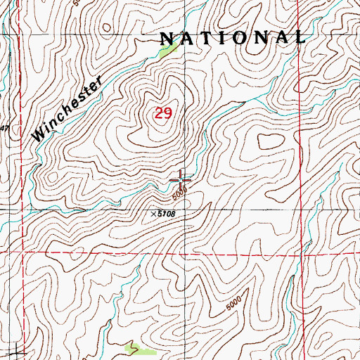 Topographic Map of Grapevine Spring, NM