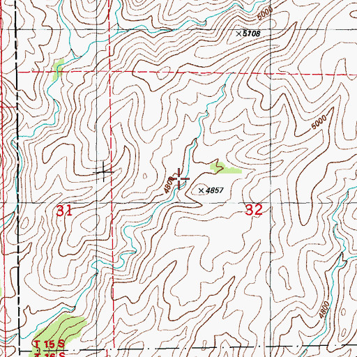 Topographic Map of Branding Iron Spring, NM