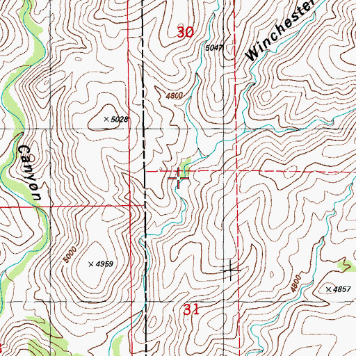 Topographic Map of Tom O'Shea Springs, NM