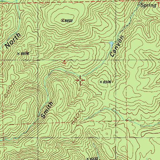 Topographic Map of Pinyon Tank, NM