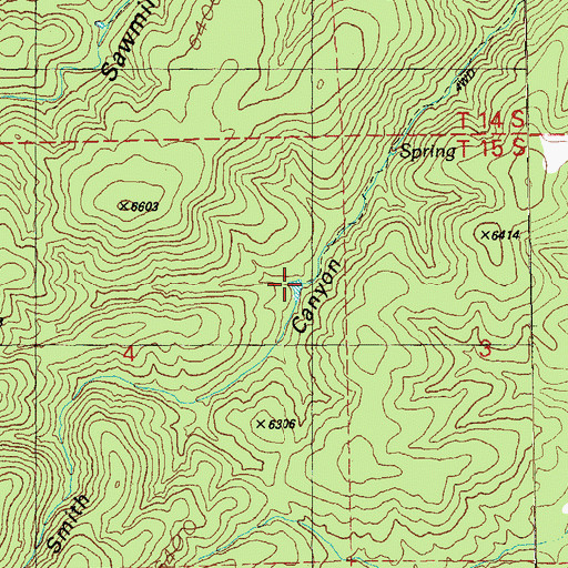 Topographic Map of Bear Tank, NM