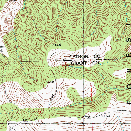 Topographic Map of Wild Antelope Tank, NM