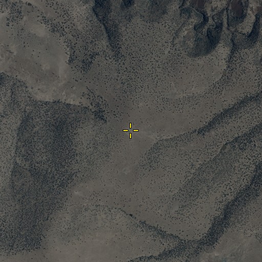 Aerial/Satellite Image of North Baldy Corral, AZ