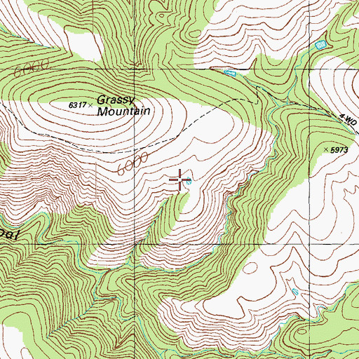 Topographic Map of Top of Grassy Tank, AZ