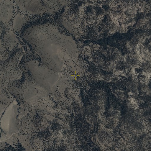 Aerial/Satellite Image of Bee Tank, NM