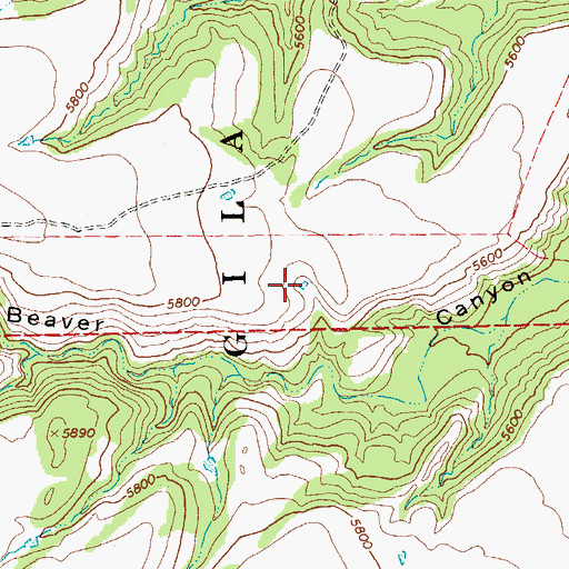 Topographic Map of Beaver Tank, NM