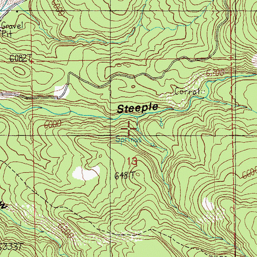 Topographic Map of Lower Steeple Spring, AZ